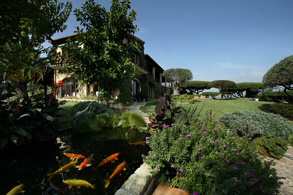 MallorcaOasis
          View