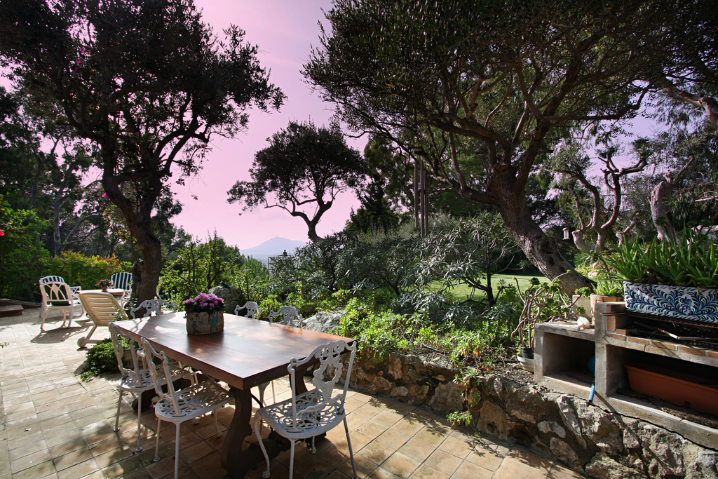 MallorcaOasis View