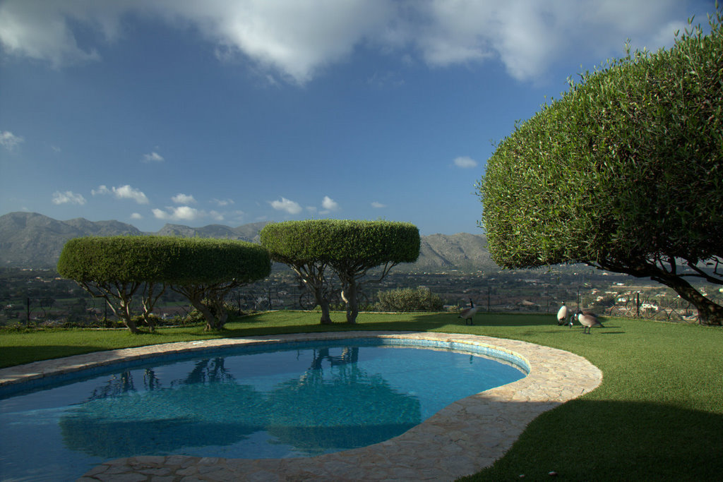 MallorcaOasis View